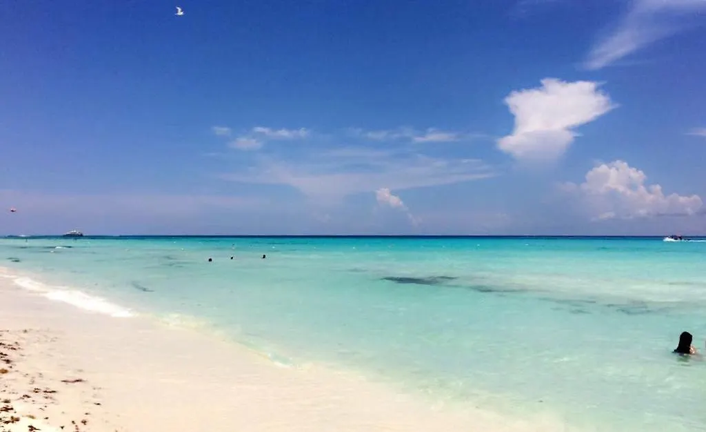 Luxury 5Th Avenue Menesse 32 Apartment Playa del Carmen 0*,