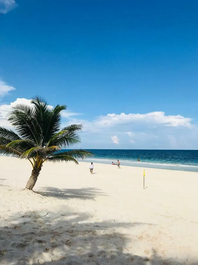 Luxury 5Th Avenue Menesse 32 Apartment Playa del Carmen 0*,  Mexico