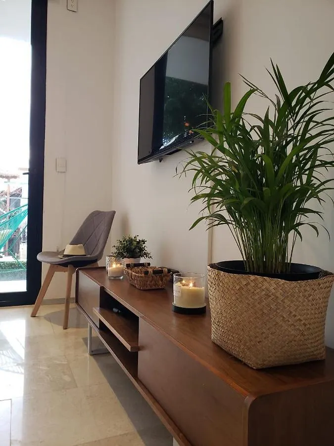 Luxury 5Th Avenue Menesse 32 Apartment Playa del Carmen