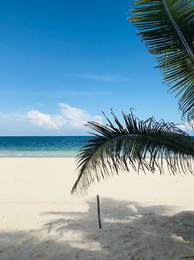 Luxury 5Th Avenue Menesse 32 Apartment Playa del Carmen Mexico